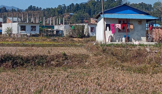 सिन्धुलीमा रित्तिँदै अन्नभण्डार