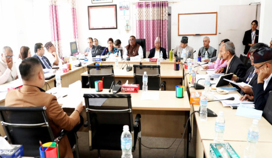 अभिलेख संरक्षण (पहिलो संशोधन) विधेयक संसदीय समितिबाट पारित
