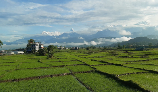 धान र बादलसँग लुकामारी खेलेको माछापुच्छ्रे हिमाल