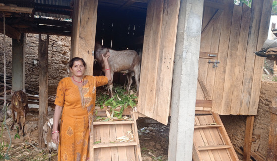 साना किसानलाई उद्यमशीलतामा जोडिँदै