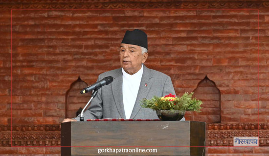 जलवायु परिवर्तनको असर न्यूनीकरणमा योगदान गर्न विश्व समुदायलाई राष्ट्रपतिको अपिल