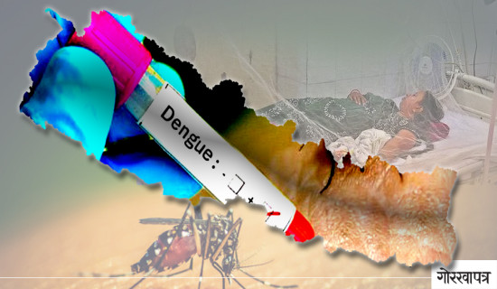 विश्व नेपाली स्वास्थ्य सम्मेलन : प्रवासीको स्वास्थ्यबारे २० बुँदे घोषणापत्र जारी