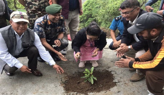 पञ्चमुलमा लालिगुराँस पार्क बन्दै