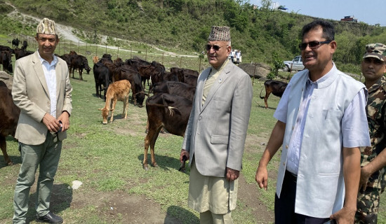 दक्षिण कोरियासँग इपिएसबाहेकको सम्झौता नभएको स्पष्ट