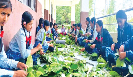 फेरियो अतिरिक्त क्रियाकलापको शैली