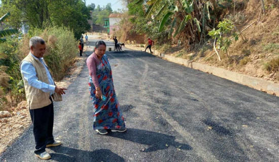 नयाँ योजना बनाउँदै बगनासकाली