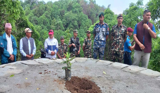 पञ्चमूलमा बन्दै लालीगुराँस पार्क