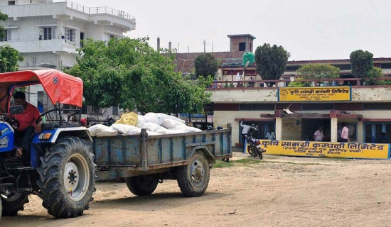 रासायनिक मल अभाव नहुने