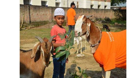 समावेशीकरणको दिशामा एउटा फड्को : गोरखापत्रद्वारा प्रकाशित उर्दू भाषा