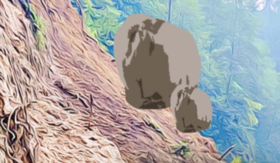 कास्कीमा पहिरोमा परेर दुई बालबालिकाको मृत्यु, एक घाइते