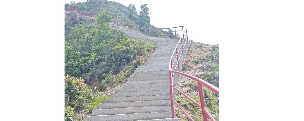 blog