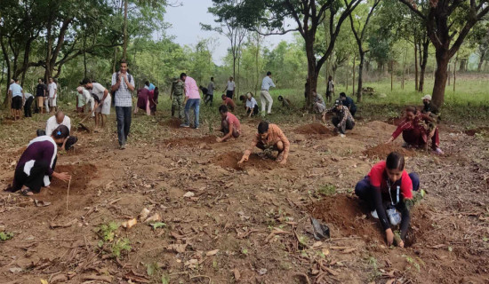 ‘बिरुवा रोप्ने मात्र होइन, संरक्षणमा पनि ध्यान दिऔं’