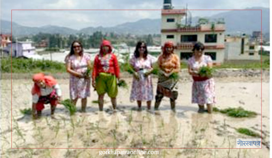 खेती धान्ने महिला किसानलाई छैन प्रोत्साहन