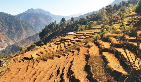 खेतीयोग्य जमिन नासिँदै