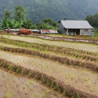 नौ महिनाभित्र वास्तविक किसान पहिचान गर्छौँ : कृषि मन्त्री साह