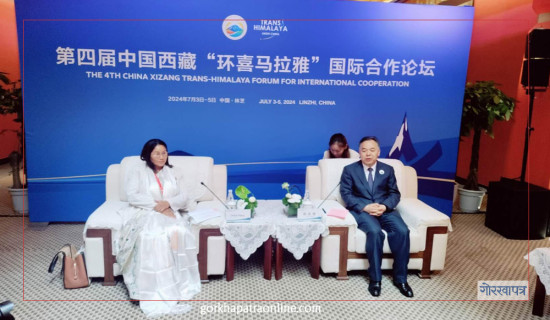 उपसभामुख राना र चीनका विदेशमन्त्री वाङ यी बिच भेटवार्ता
