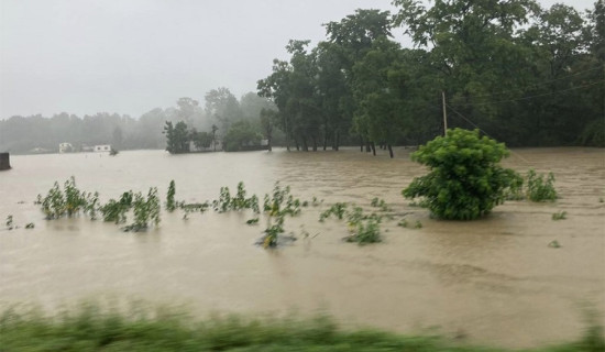 बर्दियामा सबैभन्दा बढी वर्षा, आइतबार रातिसम्म उच्च सतर्कता अपनाउन आग्रह