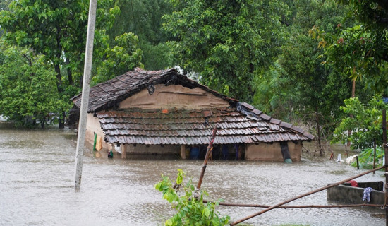 बाढी, पहिरोमा परी ८८ जनाको मृत्यु