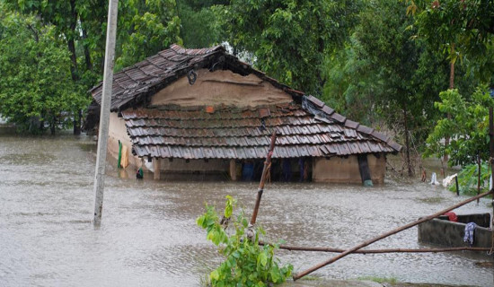 अविरल वर्षासँगैको बाढीपहिरोबाट एक सय एकको मृत्यु