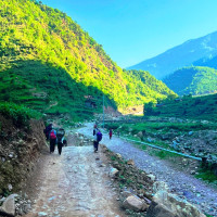 पर्यटकीय स्थल दोमुखा काठ तस्करीको केन्द्रबिन्दु