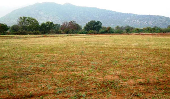 इलाका प्रशासनको भवन बनाउन निःशुल्क जग्गा प्रदान