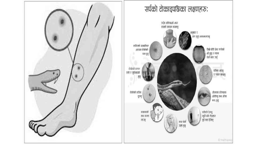 समावेशीकरणको दिशामा एउटा फड्को : गोरखापत्रद्वारा प्रकाशित अवधी भाषा