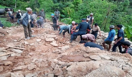 घर भत्किँदा एकै घरका आठ घाइते