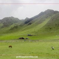 दशैं बिदामा पनि लिमीका विद्यालय सञ्चालन