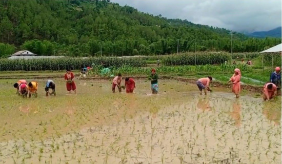 फक्ताङ्लुङका किसानलाई कृषि तालिम