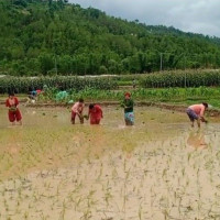 कतै खेत वाँझै कतै बाली बिरुवा सुक्दै