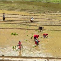 सडक निर्माण सम्पन्न नहुँदा आवतजावत गर्नेलाई सास्ती