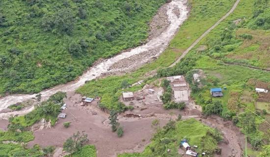 किवी खेतीबाट वार्षिक पाँच लाख बढी आम्दानी