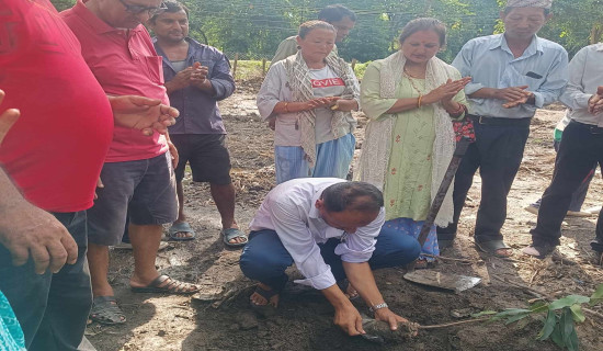 खाली जग्गामा लोपोन्मुख बिरुवा रोपण