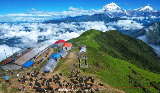 खोपारामा चौँरीपालन र धौलागिरी हिमाल