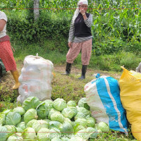 क्षतिपूर्ति नदिने म्यानपावर कम्पनी खारेज