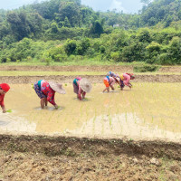 रेमिट्यान्स खातामा थप ब्याज