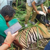 सवारी दुर्घटनामा दुईजनाको मृत्यु