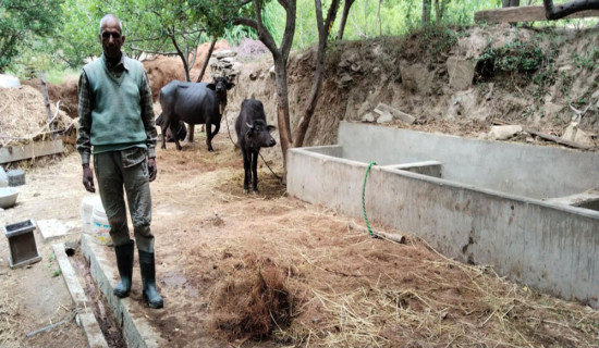 लैनो भैँसीले छुटाएको कालापहाडको यात्रा