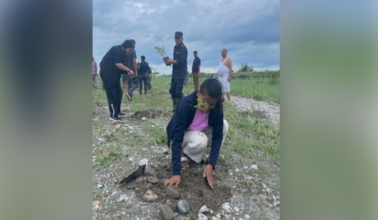 पर्यावरण संरक्षण गर्न झापामा धमाधम वृक्षारोपण गरिँदै