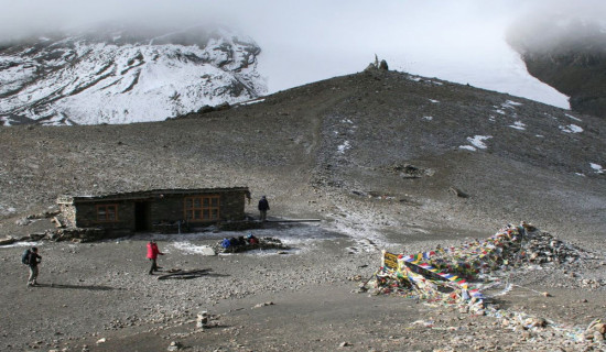 पाँच पर्यटकले गुमाए ज्यान