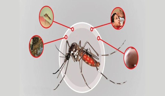 सङ्घीय अस्पतालमा डेङ्गु उपचार निःशुल्क