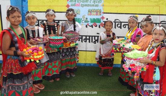 थारु समुदाय आज गुरही पर्व मनाउँदै