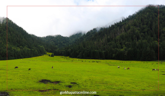 चर्दै गरेका पशु चौपाया