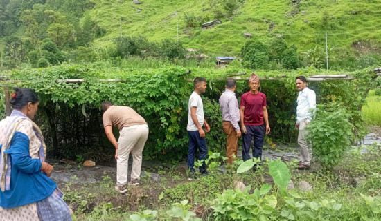 कृषकको खेतबारी अनुगमन