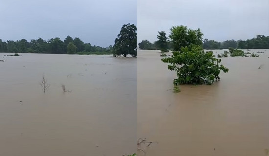 मोहना नदीमा पानीको बहाव बढ्यो, तटीय क्षेत्रमा सतर्कता