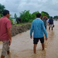 बाढीले हुलाकी राजमार्ग अवरुद्ध