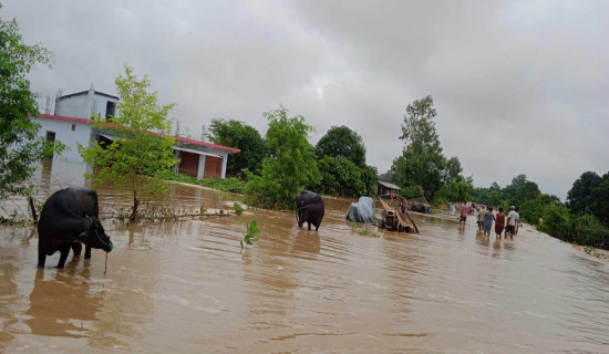 कैलालीका बस्ती डुबानमा