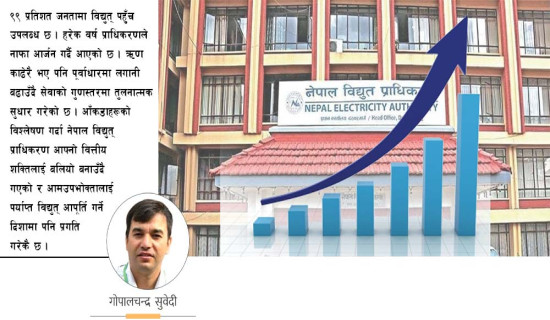 प्राधिकरणको प्रगति र चुलिएका चुनौती