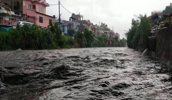 अविरल वर्षाले उपत्यकाका नदीमा जलसहत बढ्यो