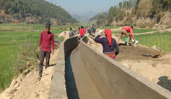 सूचीकृतमध्ये तीन प्रतिशतलाई मात्र रोजगारी